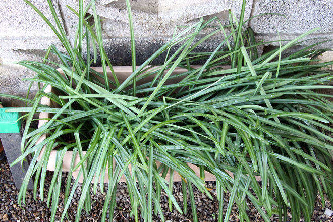 f:id:takahikonojima:20210129084254j:plain