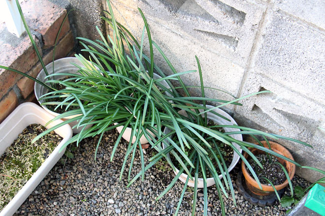 f:id:takahikonojima:20210130072907j:plain