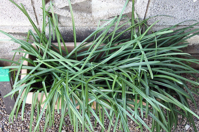 f:id:takahikonojima:20210130072911j:plain