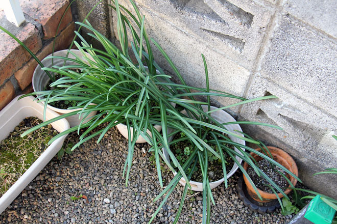 f:id:takahikonojima:20210221075743j:plain