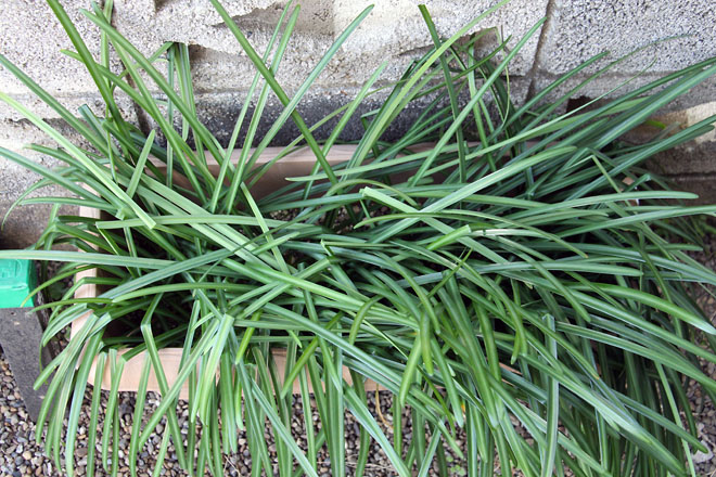 f:id:takahikonojima:20210221075746j:plain