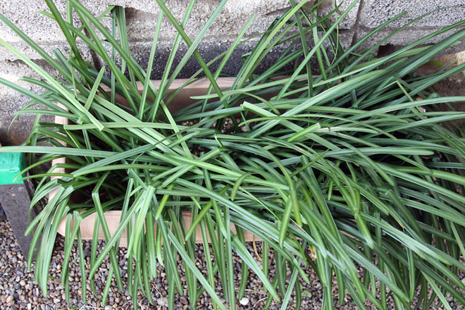 f:id:takahikonojima:20210222083329j:plain