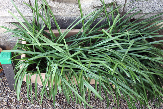 f:id:takahikonojima:20210223083202j:plain