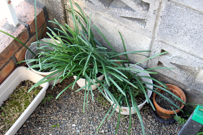 f:id:takahikonojima:20210224080904j:plain