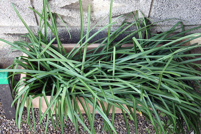 f:id:takahikonojima:20210224080906j:plain