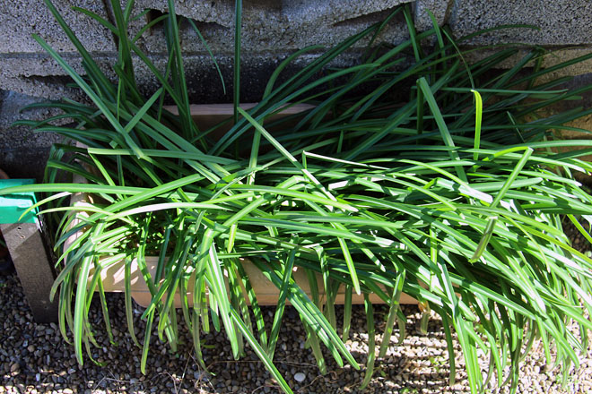 f:id:takahikonojima:20210225131938j:plain