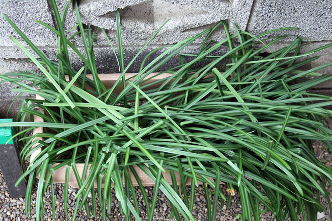 f:id:takahikonojima:20210226073618j:plain