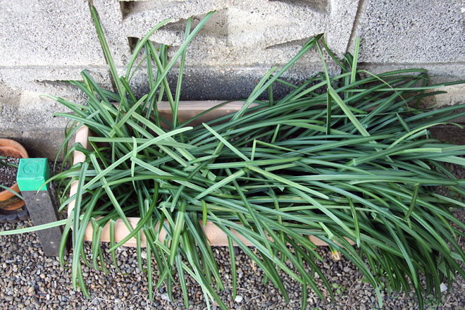 f:id:takahikonojima:20210228080806j:plain