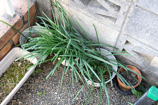 f:id:takahikonojima:20210301081138j:plain