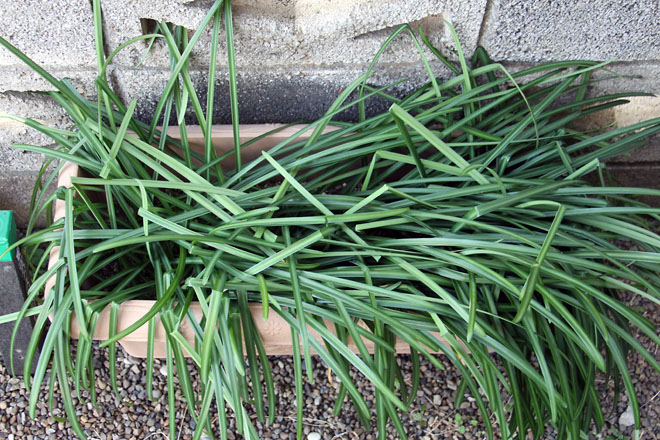 f:id:takahikonojima:20210301081141j:plain