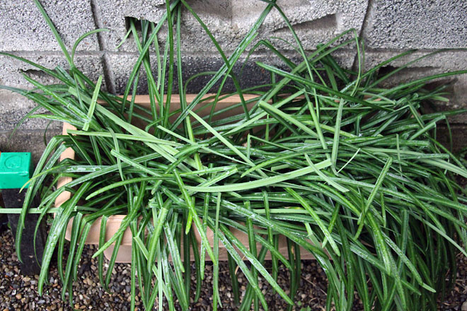 f:id:takahikonojima:20210302162055j:plain