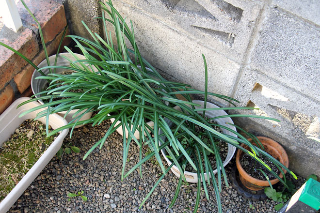 f:id:takahikonojima:20210303070609j:plain