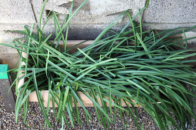 f:id:takahikonojima:20210303070613j:plain