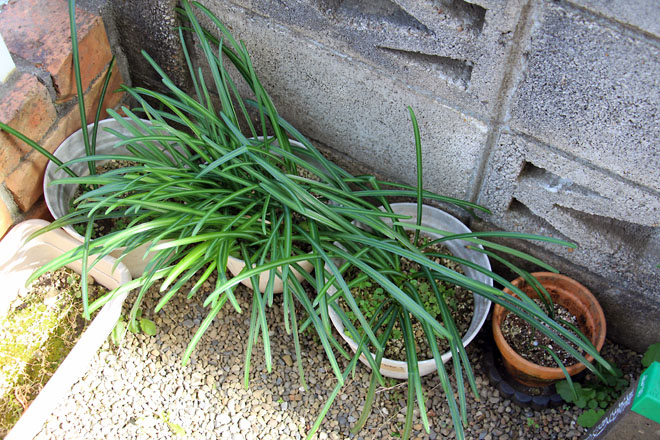 f:id:takahikonojima:20210304130757j:plain