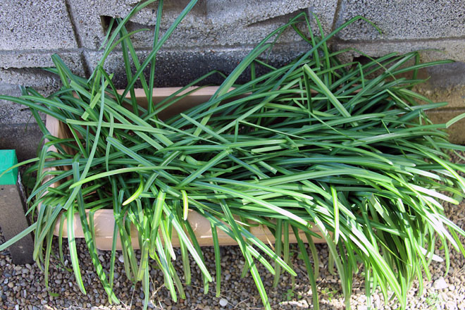 f:id:takahikonojima:20210304130800j:plain