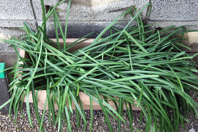 f:id:takahikonojima:20210305071150j:plain