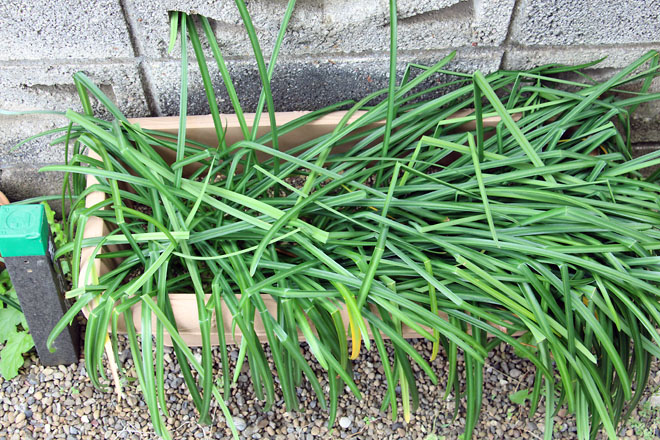 f:id:takahikonojima:20210404104151j:plain