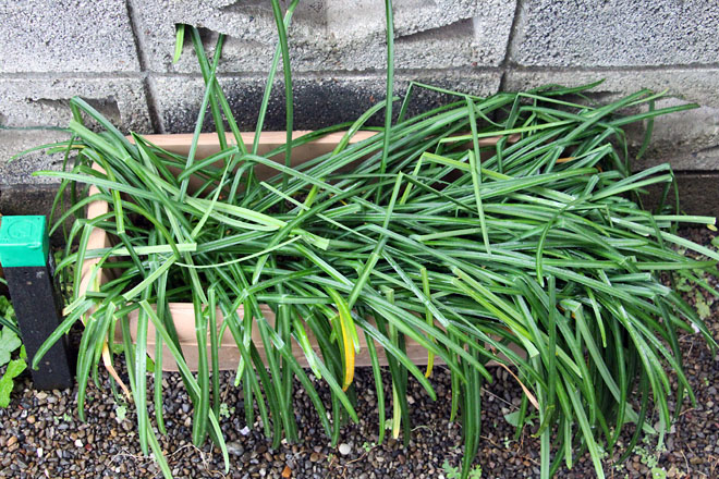 f:id:takahikonojima:20210405061816j:plain