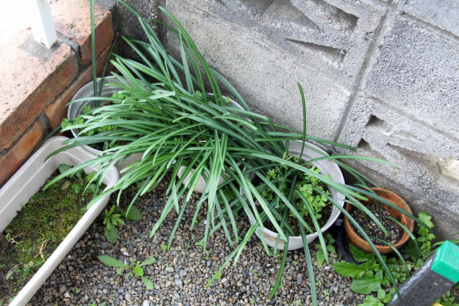 f:id:takahikonojima:20210406061302j:plain