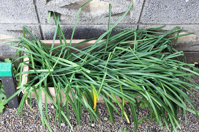 f:id:takahikonojima:20210406061304j:plain