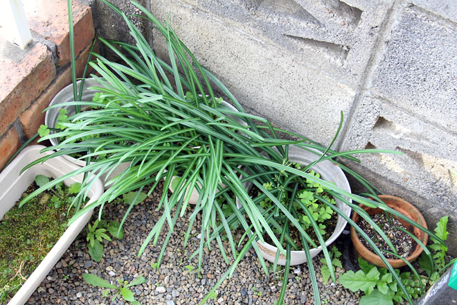 f:id:takahikonojima:20210407071426j:plain