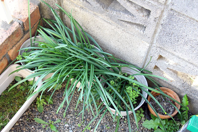 f:id:takahikonojima:20210408063925j:plain