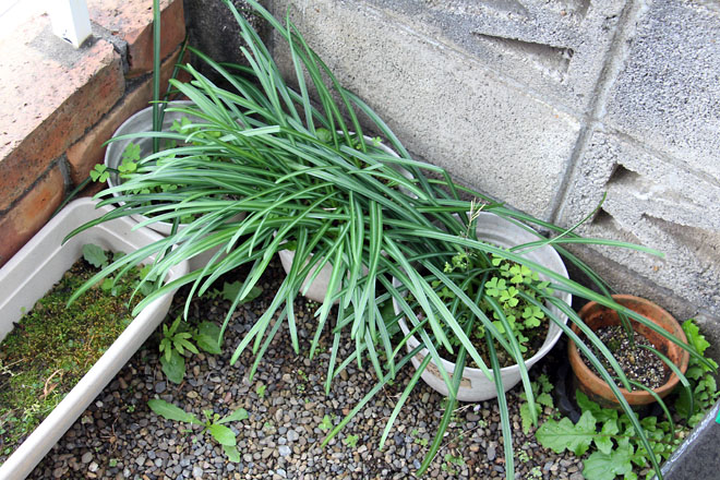 f:id:takahikonojima:20210409072136j:plain