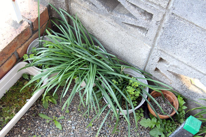 f:id:takahikonojima:20210410075622j:plain