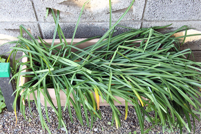 f:id:takahikonojima:20210410075626j:plain