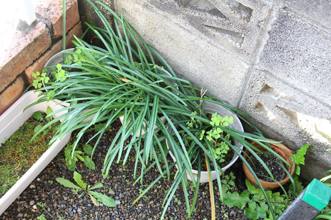 f:id:takahikonojima:20210418072452j:plain