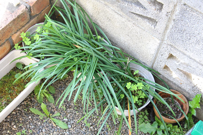 f:id:takahikonojima:20210419072004j:plain