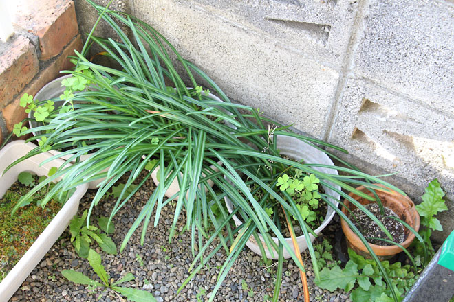 f:id:takahikonojima:20210420070019j:plain