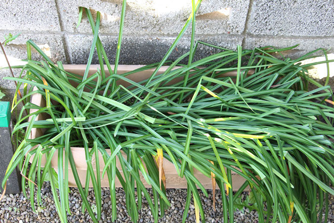 f:id:takahikonojima:20210420070023j:plain