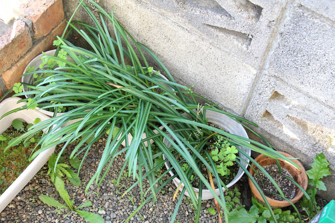 f:id:takahikonojima:20210421063427j:plain