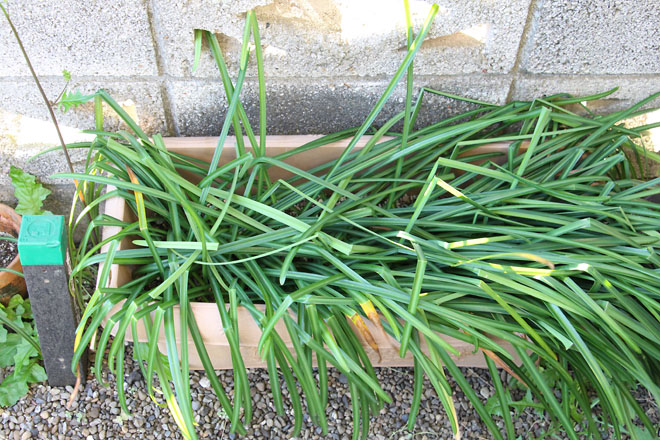 f:id:takahikonojima:20210421063431j:plain