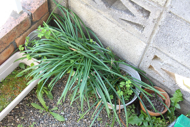 f:id:takahikonojima:20210422080110j:plain