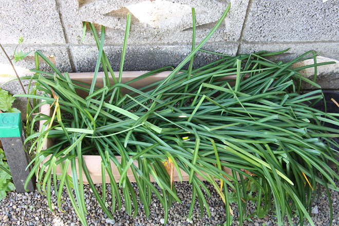 f:id:takahikonojima:20210422080112j:plain