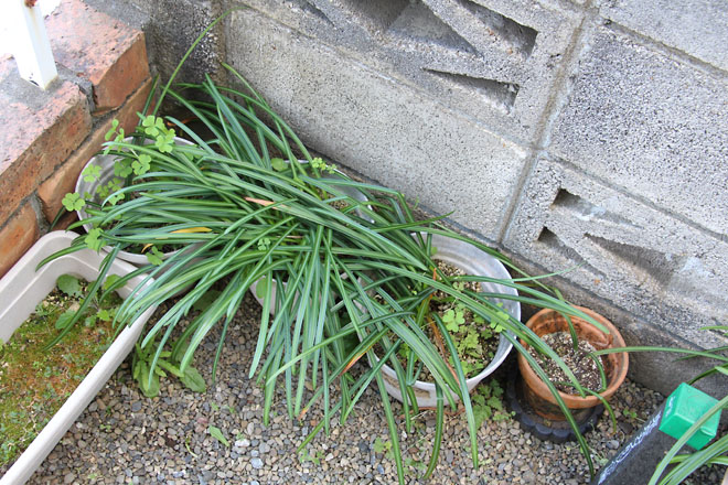 f:id:takahikonojima:20210423111910j:plain