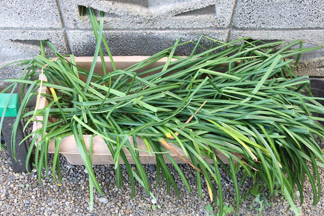 f:id:takahikonojima:20210423111912j:plain