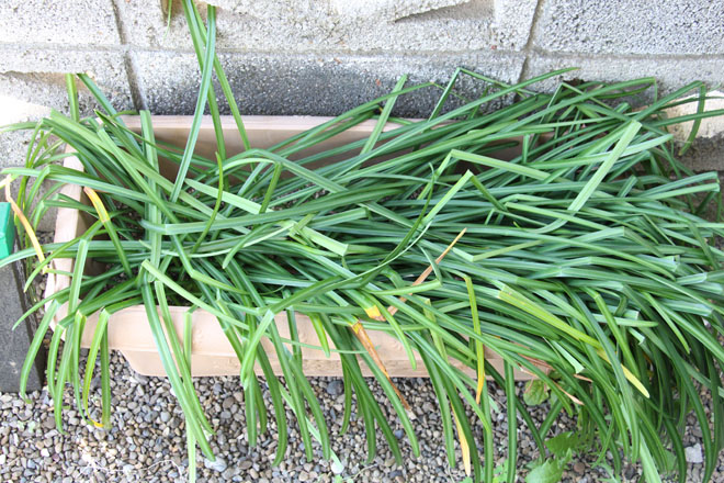 f:id:takahikonojima:20210424080453j:plain