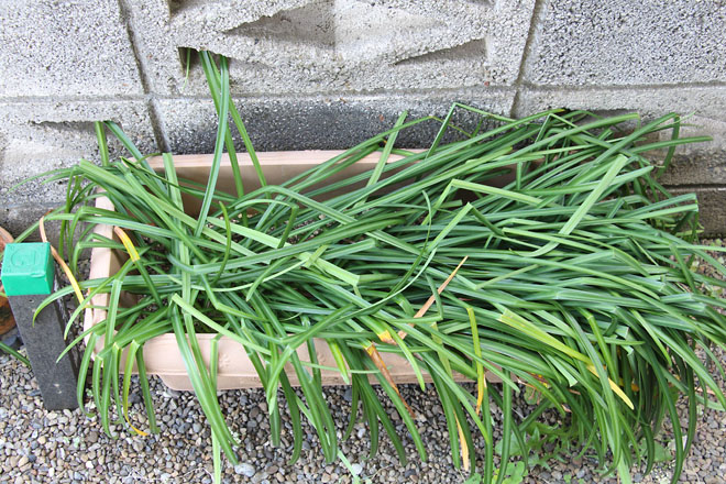 f:id:takahikonojima:20210425103414j:plain