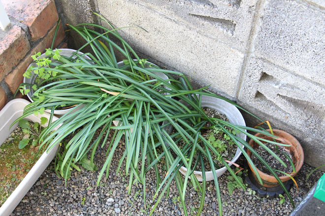 f:id:takahikonojima:20210426090219j:plain