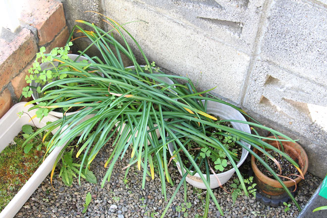 f:id:takahikonojima:20210501072250j:plain