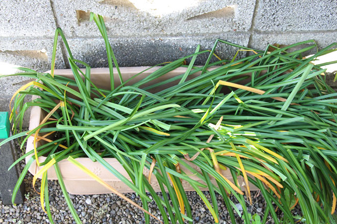 f:id:takahikonojima:20210501072255j:plain