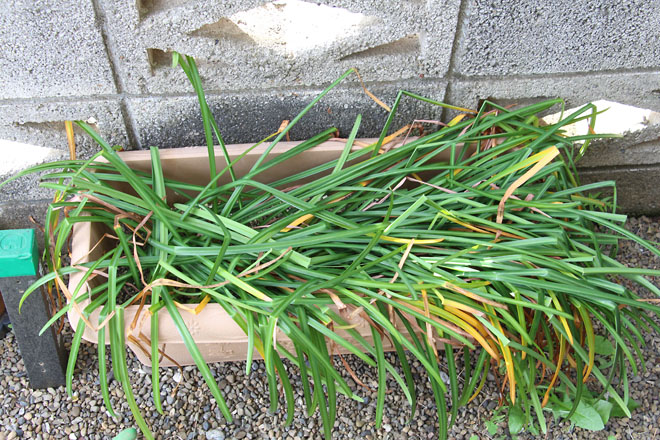 f:id:takahikonojima:20210510071454j:plain