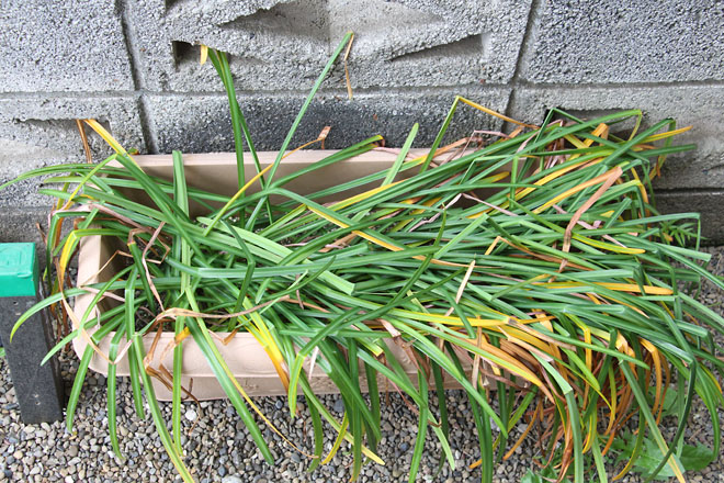 f:id:takahikonojima:20210512061758j:plain