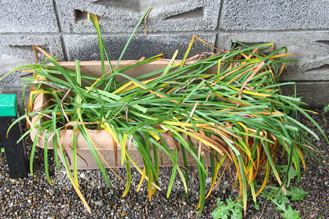 f:id:takahikonojima:20210513072720j:plain