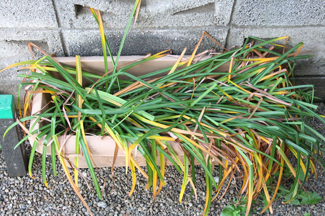 f:id:takahikonojima:20210514183004j:plain