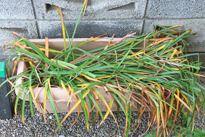 f:id:takahikonojima:20210515141758j:plain