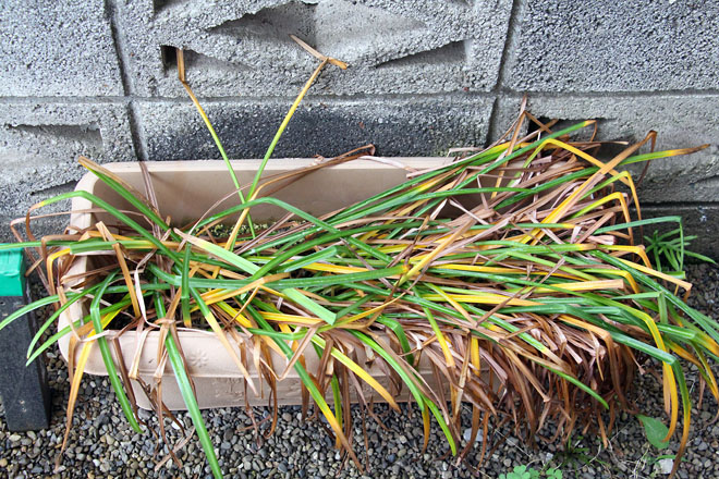 f:id:takahikonojima:20210519062629j:plain